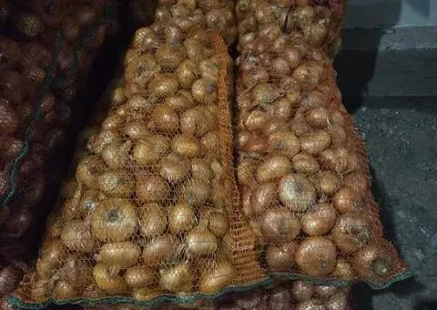 Ceapă plată de vânzare – sortată, calitate bună