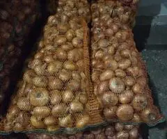 Ceapă plată de vânzare – sortată, calitate bună