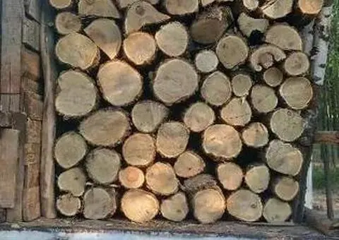 Lemne de foc din fag, salcâm și stejar, livrare la domiciliu - 1/3