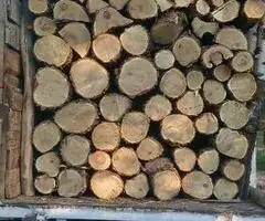 Lemne de foc din fag, salcâm și stejar, livrare la domiciliu