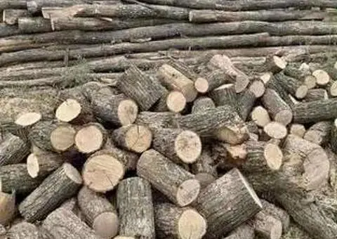 Lemne de foc din fag, salcâm și stejar, livrare la domiciliu - 3/3