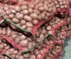 Cartofi Bellarosa pentru consum, calibru 50+, saci de 25 kg