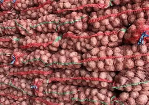 Cartofi Bellarosa pentru consum, calibru 50+, saci de 25 kg - 3/3