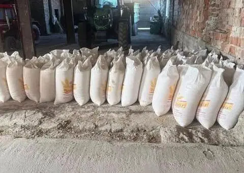 Vând porumb uscat băgat în saci – 0,90 lei/kg - 1/3