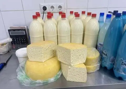 Vând Produse Lactate Naturale din Fermă Proprie – Lapte, Caș, Telemea, Cașcaval | Mintiu Gherlii - 1/4