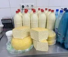 Vând Produse Lactate Naturale din Fermă Proprie – Lapte, Caș, Telemea, Cașcaval | Mintiu Gherlii