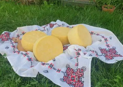 Vând Produse Lactate Naturale din Fermă Proprie – Lapte, Caș, Telemea, Cașcaval | Mintiu Gherlii - 3/4