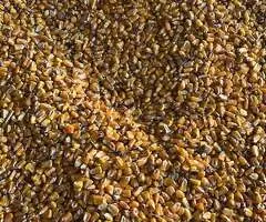 Vând Porumb Boabe Recoltă Nouă, Umiditate 15%,