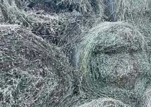 Vând 150 baloți de lucernă (coasele 2, 3 și 4) – Fărăgău, Mureș