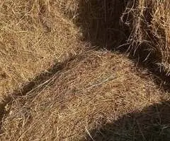 Vând baloți rotunzi de otavă și lucernă – 250 lei/buc (Rusu Bârgăului, BN)