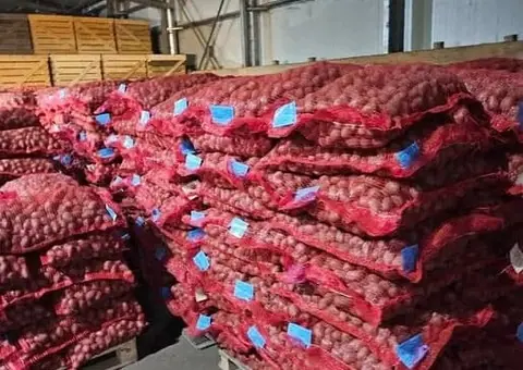 Vând Cartofi Sămânță Certificați Clasa A: Red Lady, Carrera, Prada - 2/3