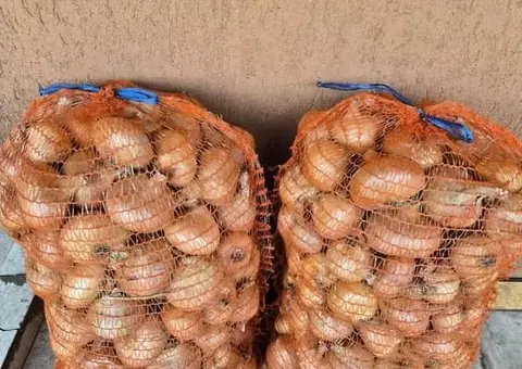 Vând Ceapă Galbenă din Gospodărie (Netratată Chimic)