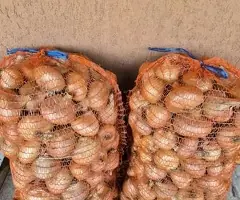 Vând Ceapă Galbenă din Gospodărie (Netratată Chimic)