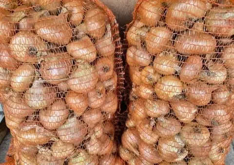 Vând Ceapă Galbenă din Gospodărie (Netratată Chimic) - 2/2