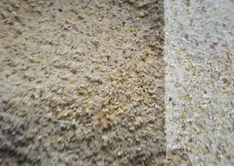 Vând sau schimb urluială porumb - 2 tone - 1.50 lei/kg - 2/2