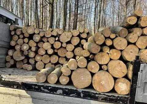 Vând lemne de foc Argeș - Fag, Stejar, Carpen, Brad - de la 200 lei