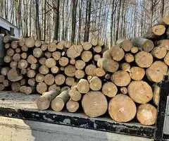 Vând lemne de foc Argeș - Fag, Stejar, Carpen, Brad - de la 200 lei