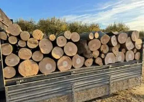 Vând lemne de foc Argeș - Fag, Stejar, Carpen, Brad - de la 200 lei - 2/2