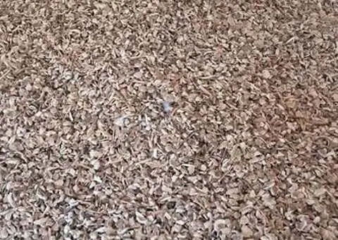 Vând Porumb, Grâu și Floarea-Soarelui – Producție 2025 – Căldăraru, Argeș - 2/2