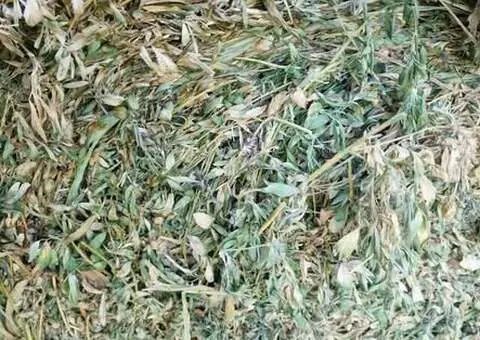 Baloți rotunzi (Lucernă, Trifoi, Iarbă) - Războieni, Neamț