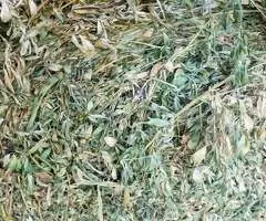 Baloți rotunzi (Lucernă, Trifoi, Iarbă) - Războieni, Neamț