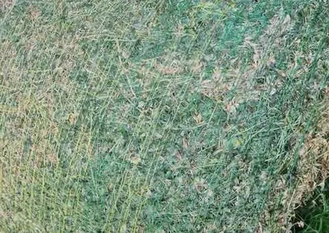 Baloți rotunzi (Lucernă, Trifoi, Iarbă) - Războieni, Neamț - 2/2