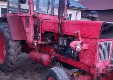 Tractor UTB U650 - Danfus Nou - 3.500 € (Pașcani) - 1/4