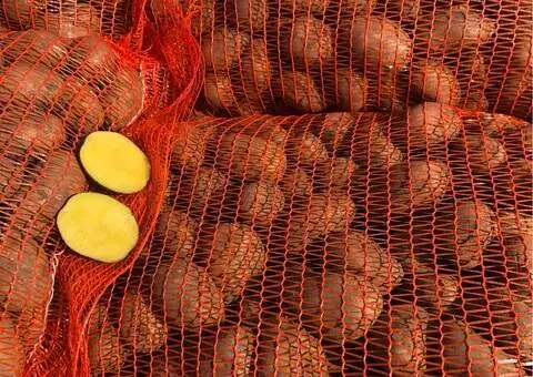 Cartofi de Sămânță Soi Soraya | Certificați Clasa B | Pașaport Fitosanitar - 1/3