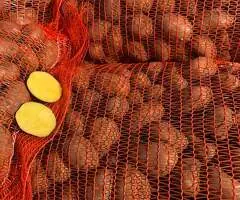 Cartofi de Sămânță Soi Soraya | Certificați Clasa B | Pașaport Fitosanitar