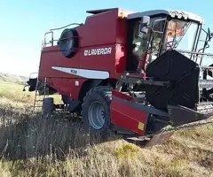 Combină Laverda M-200 (2015) | 250 CP | Pachet Complet Header Păioase + Porumb Olimac