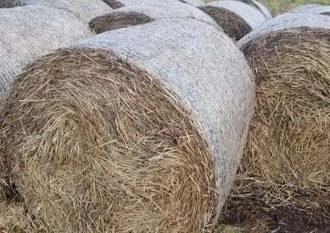 Baloți Paie Grâu (120x120) | Presați cu Plasă | Posibilitate Transport