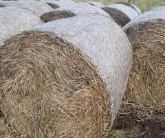 Baloți Paie Grâu (120x120) | Presați cu Plasă | Posibilitate Transport