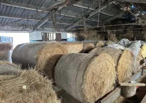 Baloți fân rotunzi și dreptunghiulari | Bălăbănești, Galați - 1/3