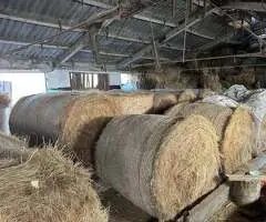 Baloți fân rotunzi și dreptunghiulari | Bălăbănești, Galați