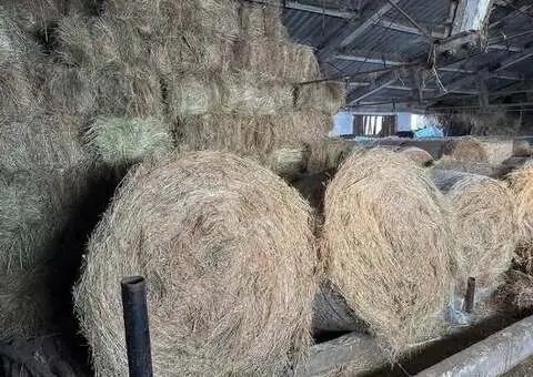 Baloți fân rotunzi și dreptunghiulari | Bălăbănești, Galați - 2/3