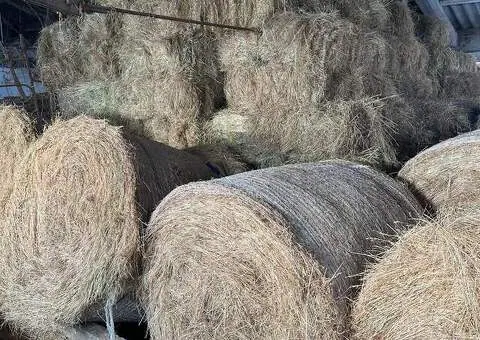 Baloți fân rotunzi și dreptunghiulari | Bălăbănești, Galați - 3/3