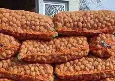 Vând cartofi de sămânță de calitate, potriviți pentru plantare în sezonul agricol.