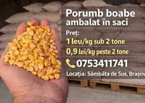 Porumb boabe uscat ambalat în saci – preț de la 0,9 lei/kg - 1/3