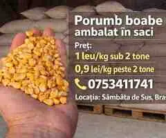Porumb boabe uscat ambalat în saci – preț de la 0,9 lei/kg