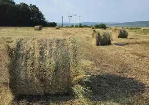 Baloti fân amestec cu lucernă – rotunzi 1,2 m