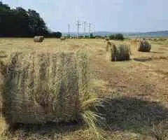 Baloti fân amestec cu lucernă – rotunzi 1,2 m