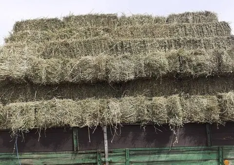 Baloți Lucernă Calitate Extra – Coasa 2, 3, 4, 5 - 1/3