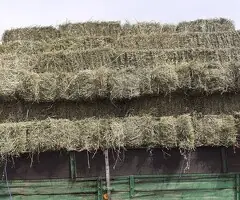 Baloți Lucernă Calitate Extra – Coasa 2, 3, 4, 5