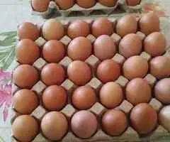 Ouă de găină de casă – proaspete, hrănite natural – 35 lei / cofrag (30 ouă)