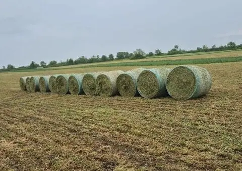 Baloți lucernă calitate superioară – 1 leu/kg, Sacosu Turcesc - 1/3