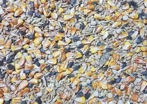 Amestec cereale pentru găini și porumbei – 29,45 kg, fără praf