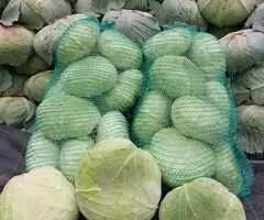 Varză albă Autumn King – căpățâni, tocată sau pentru furaj – de la 0,50 lei/kg