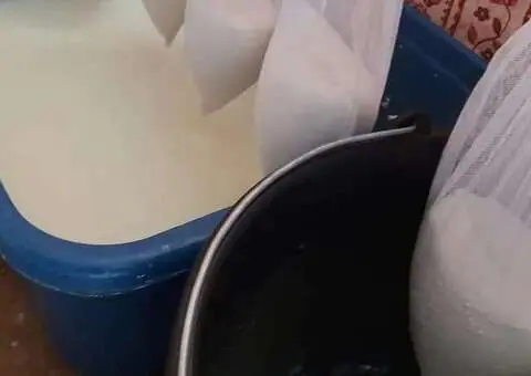 Brânză de capră proaspătă 2026 – naturală, direct de la fermă