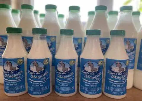 Lapte proaspăt de măgăriță – natural, direct de la fermă - 1/3