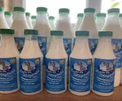 Lapte proaspăt de măgăriță – natural, direct de la fermă